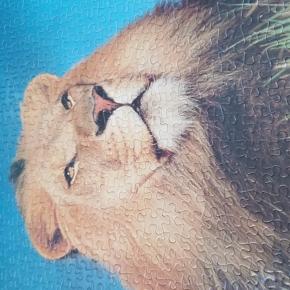 🧩500PC LION PUZZLE